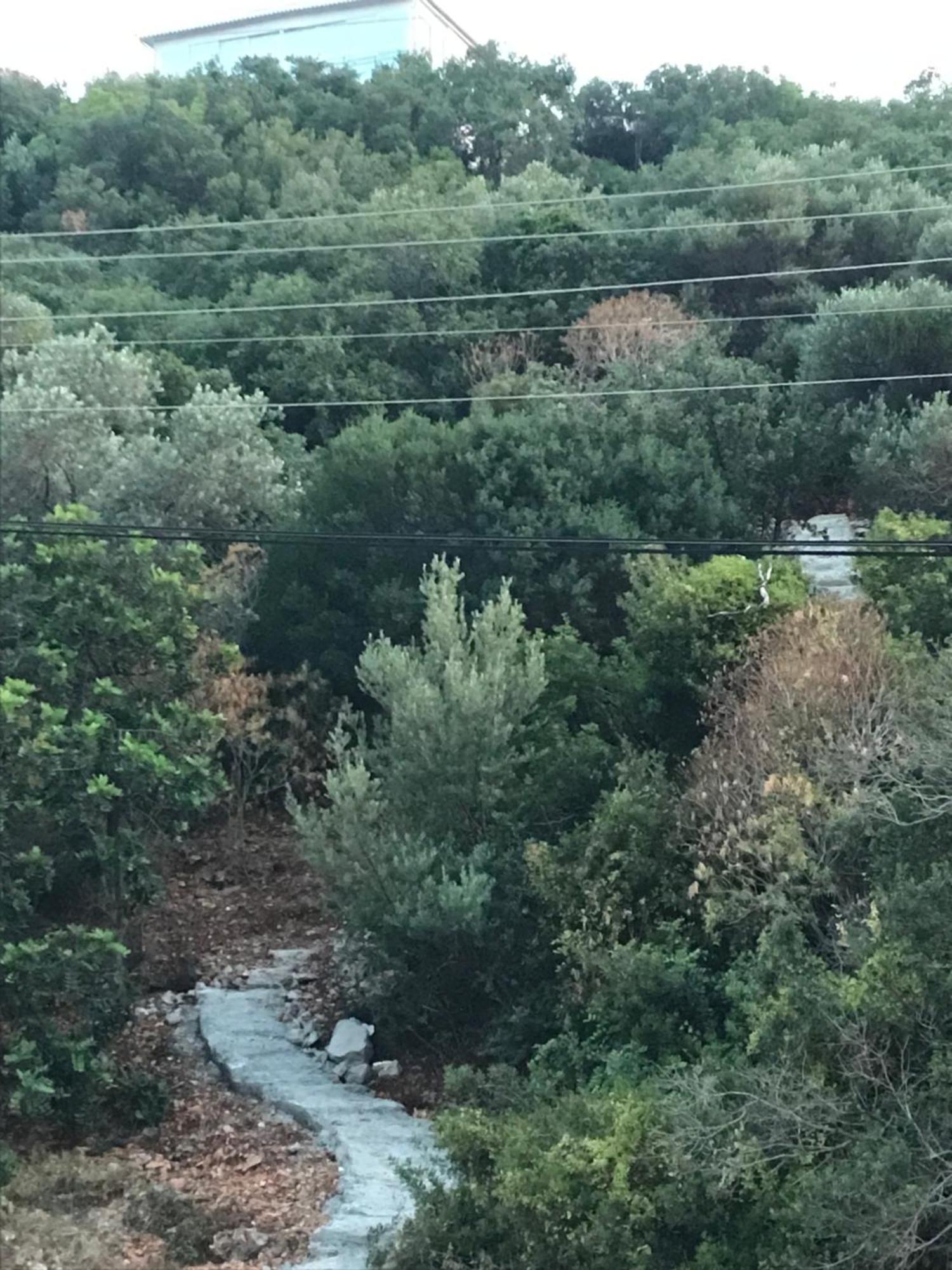 Green Hill Kas Apartman Kültér fotó