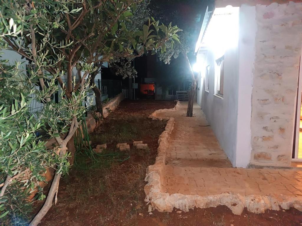 Green Hill Kas Apartman Kültér fotó